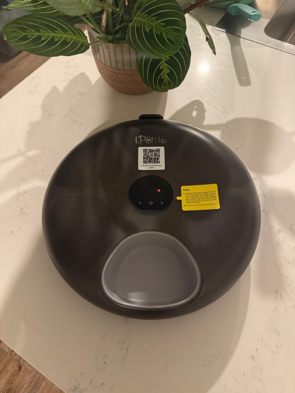 Luxury Automatic Refrigerator Pet Feeder